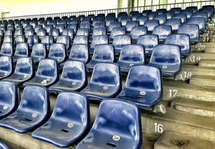 九游下载官网-竞彩市场火热，足球预测分析工具受追捧，竞彩足球预测推荐