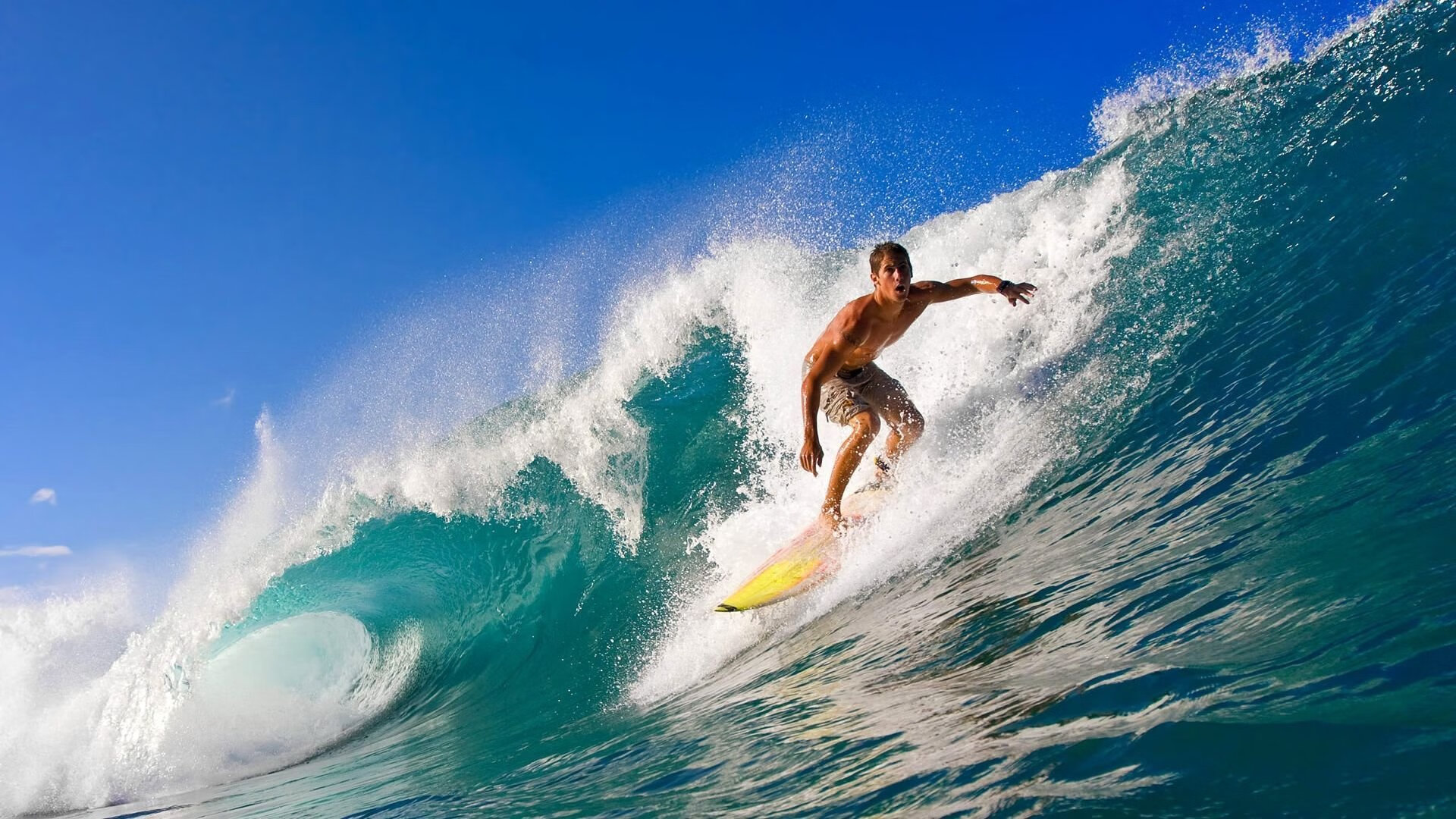 民族花样游泳盛典,水上舞蹈展现文化韵味,游泳花式表演